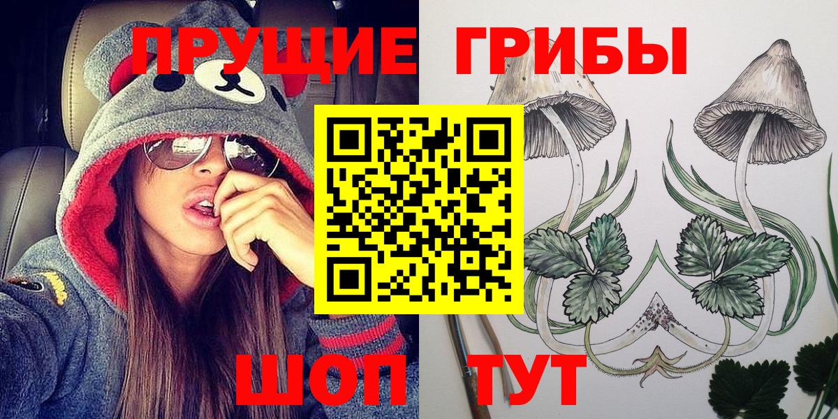 закладка  Псилоцибиновые грибы мухоморы  Воткинск  Вход с VPN  Псилоцибиновые грибы MAGIC MUSHROOMS 
